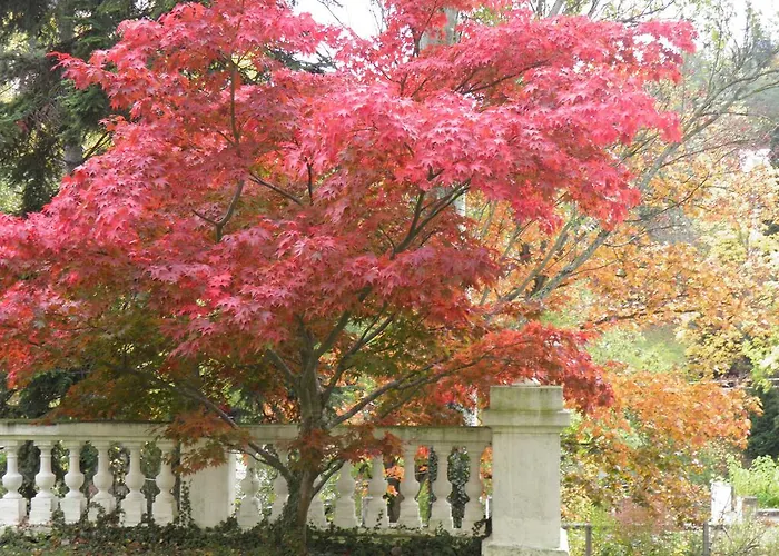 Hotel Splendid By Popinns Châtel-Guyon